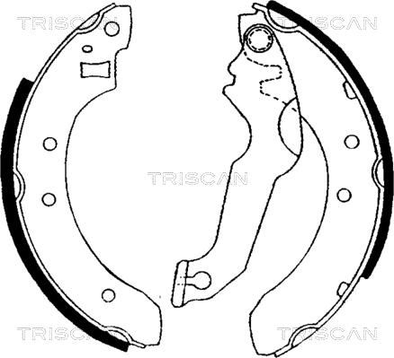 Triscan 8100 16365 - Jeu de mâchoires de frein cwaw.fr