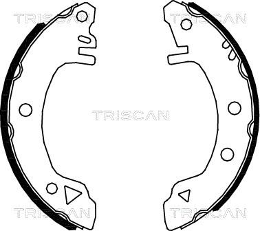 Triscan 8100 16375 - Jeu de mâchoires de frein cwaw.fr