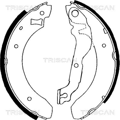 Triscan 8100 16376 - Jeu de mâchoires de frein cwaw.fr