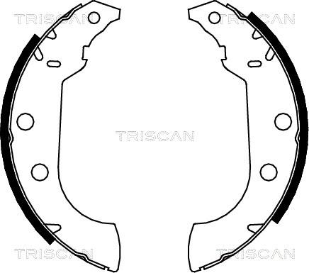 Triscan 8100 10489 - Jeu de mâchoires de frein cwaw.fr