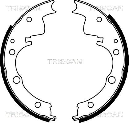 Triscan 8100 10436 - Jeu de mâchoires de frein cwaw.fr