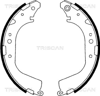 Triscan 8100 10425 - Jeu de mâchoires de frein cwaw.fr