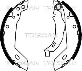 Triscan 8100 10427 - Jeu de mâchoires de frein cwaw.fr