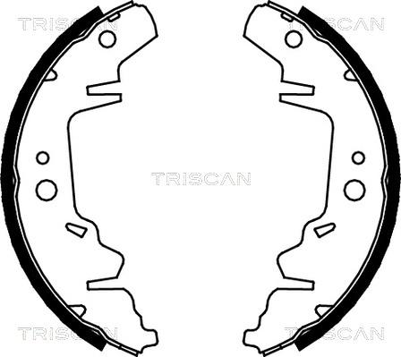 Triscan 8100 10593 - Jeu de mâchoires de frein cwaw.fr