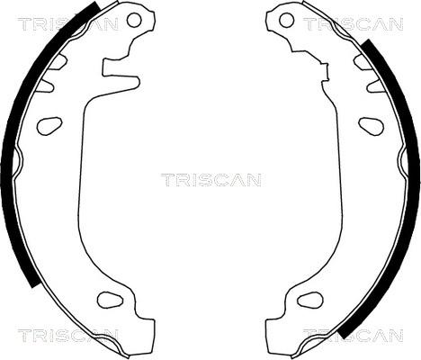 Triscan 8100 10545 - Jeu de mâchoires de frein cwaw.fr