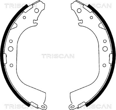 Triscan 8100 10519 - Jeu de mâchoires de frein cwaw.fr