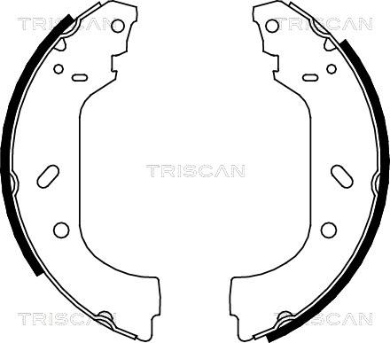 Triscan 8100 10588 - Jeu de mâchoires de frein cwaw.fr