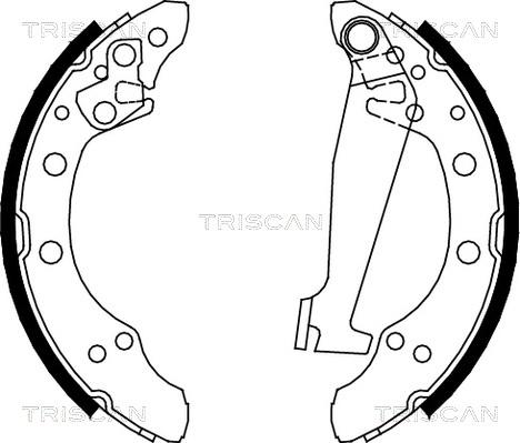 Triscan 8100 10520 - Jeu de mâchoires de frein cwaw.fr