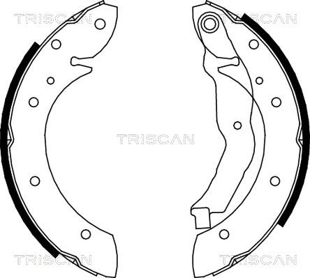 Triscan 8100 10575 - Jeu de mâchoires de frein cwaw.fr