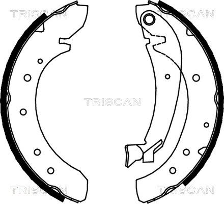 Triscan 8100 10576 - Jeu de mâchoires de frein cwaw.fr