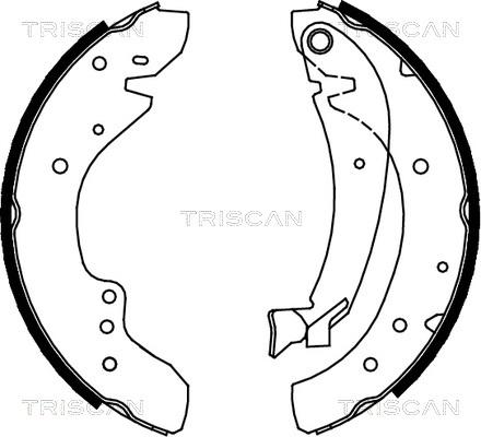 Triscan 8100 10573 - Jeu de mâchoires de frein cwaw.fr