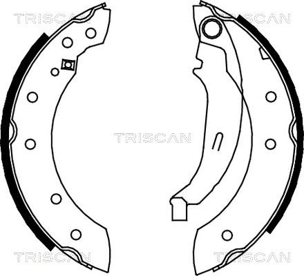 Triscan 8100 10572 - Jeu de mâchoires de frein cwaw.fr