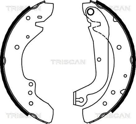 Triscan 8100 10577 - Jeu de mâchoires de frein cwaw.fr