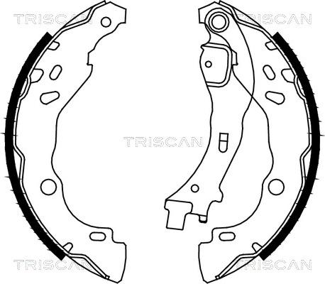 Triscan 8100 10009 - Jeu de mâchoires de frein cwaw.fr