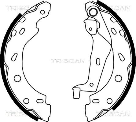 Triscan 8100 10005 - Jeu de mâchoires de frein cwaw.fr