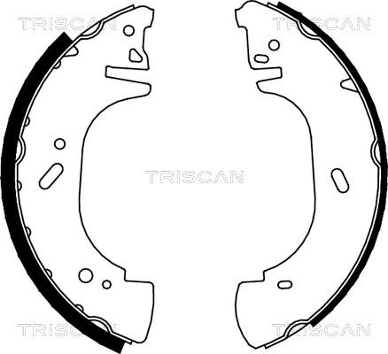 Triscan 8100 10002 - Jeu de mâchoires de frein cwaw.fr