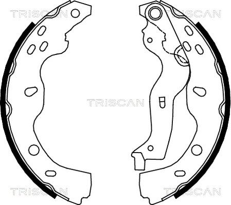 Triscan 8100 10013 - Jeu de mâchoires de frein cwaw.fr