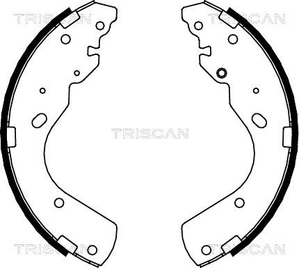 Triscan 8100 10017 - Jeu de mâchoires de frein cwaw.fr