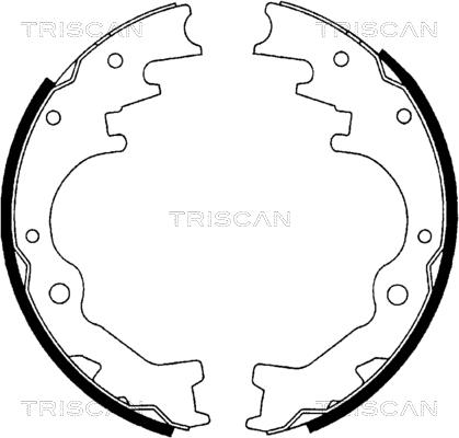 Triscan 8100 10035 - Jeu de mâchoires de frein cwaw.fr