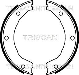 Triscan 8100 10030 - Jeu de mâchoires de frein, frein de stationnement cwaw.fr