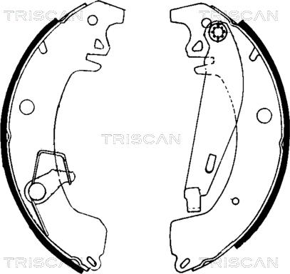 Triscan 8100 10031 - Jeu de mâchoires de frein cwaw.fr