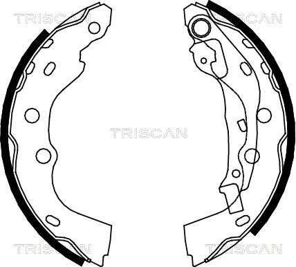 Triscan 8100 10025 - Jeu de mâchoires de frein cwaw.fr