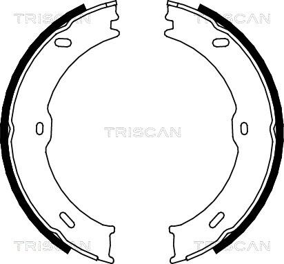 Triscan 8100 10023 - Jeu de mâchoires de frein cwaw.fr