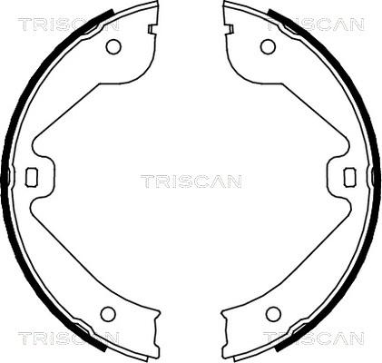 Triscan 8100 10022 - Jeu de mâchoires de frein cwaw.fr