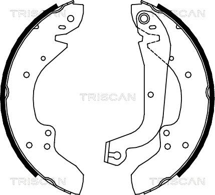 Triscan 8100 10374 - Jeu de mâchoires de frein cwaw.fr