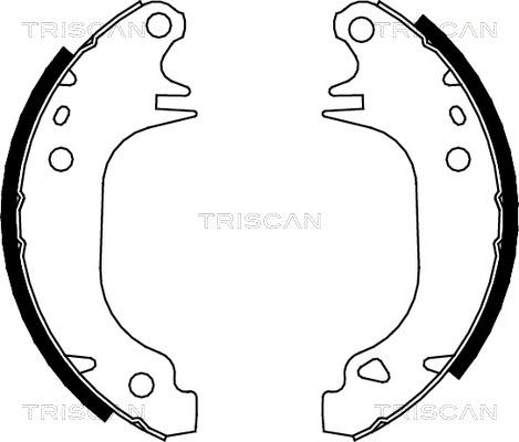 Triscan 8100 10372 - Jeu de mâchoires de frein cwaw.fr