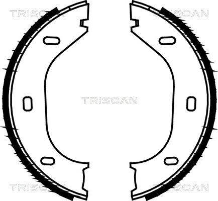 Triscan 8100 10290 - Jeu de mâchoires de frein, frein de stationnement cwaw.fr