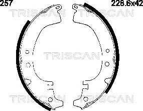 Triscan 8100 10257 - Jeu de mâchoires de frein cwaw.fr