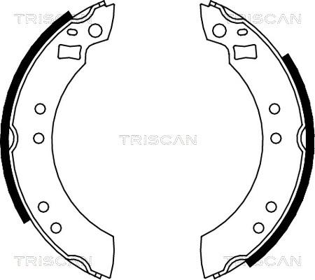 Triscan 8100 10280 - Jeu de mâchoires de frein cwaw.fr