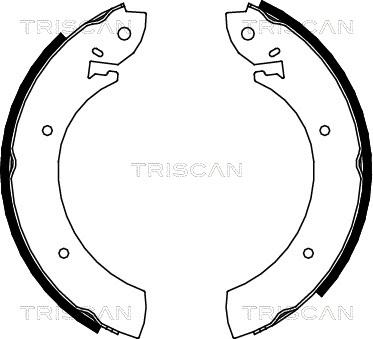 Triscan 8100 10272 - Jeu de mâchoires de frein cwaw.fr