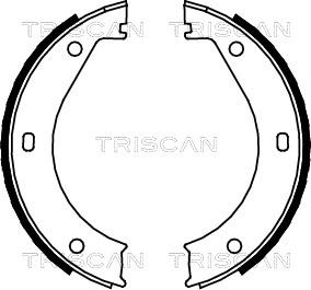 Triscan 8100 11415 - Jeu de mâchoires de frein, frein de stationnement cwaw.fr