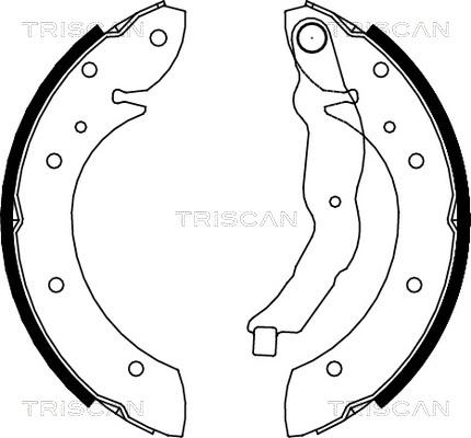 Triscan 8100 11544 - Jeu de mâchoires de frein cwaw.fr