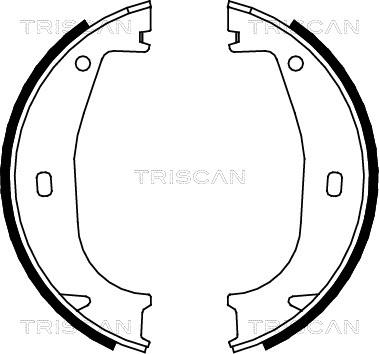 Triscan 8100 11553 - Jeu de mâchoires de frein, frein de stationnement cwaw.fr