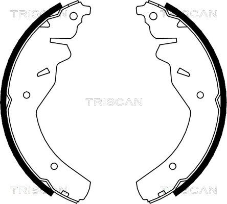 Triscan 8100 18595 - Jeu de mâchoires de frein cwaw.fr