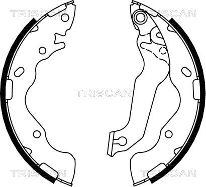 Triscan 8100 18009 - Jeu de mâchoires de frein cwaw.fr