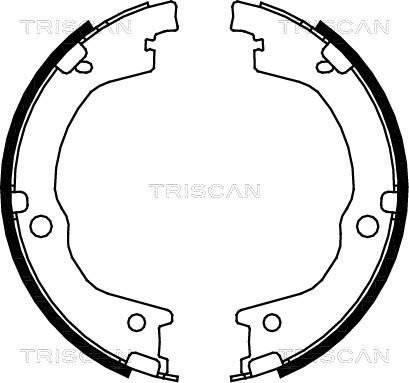 Triscan 8100 18006 - Jeu de mâchoires de frein cwaw.fr