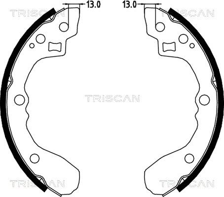 Triscan 8100 18001 - Jeu de mâchoires de frein cwaw.fr