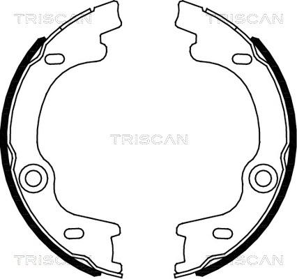 Triscan 8100 18010 - Jeu de mâchoires de frein, frein de stationnement cwaw.fr