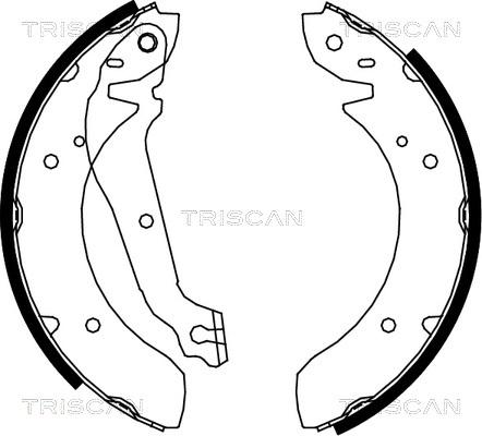 Triscan 8100 18013 - Jeu de mâchoires de frein cwaw.fr