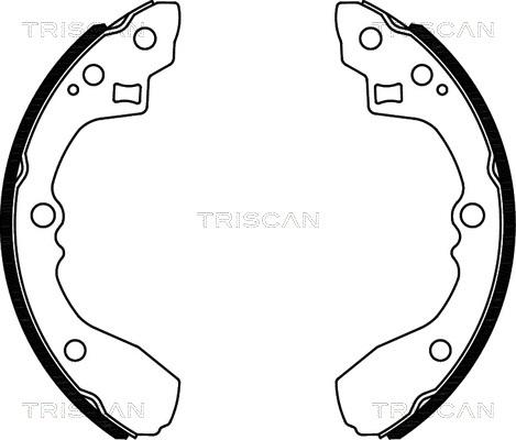 Triscan 8100 18012 - Jeu de mâchoires de frein cwaw.fr