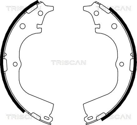 Triscan 8100 13557 - Jeu de mâchoires de frein cwaw.fr