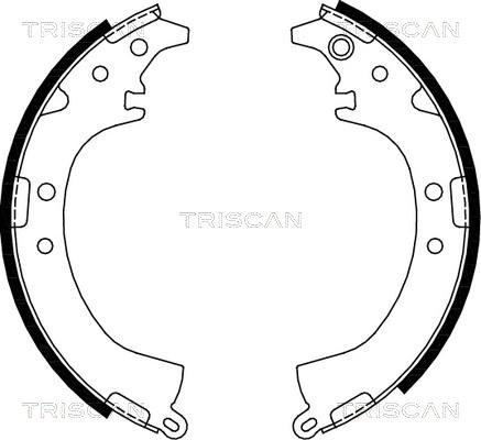 Triscan 8100 13569 - Jeu de mâchoires de frein cwaw.fr