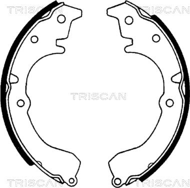 Triscan 8100 13502 - Jeu de mâchoires de frein cwaw.fr