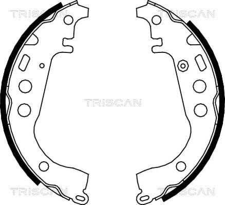 Triscan 8100 13617 - Jeu de mâchoires de frein cwaw.fr