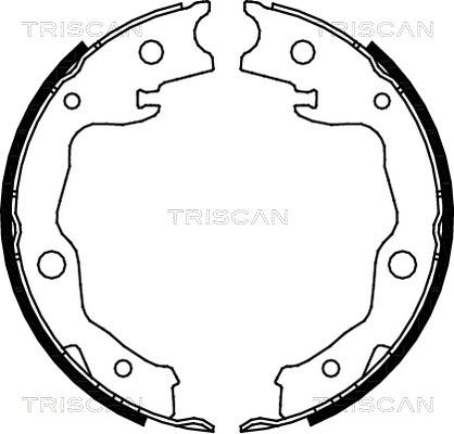 Triscan 8100 13042 - Jeu de mâchoires de frein cwaw.fr