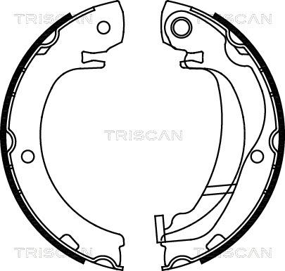 Triscan 8100 13047 - Jeu de mâchoires de frein, frein de stationnement cwaw.fr